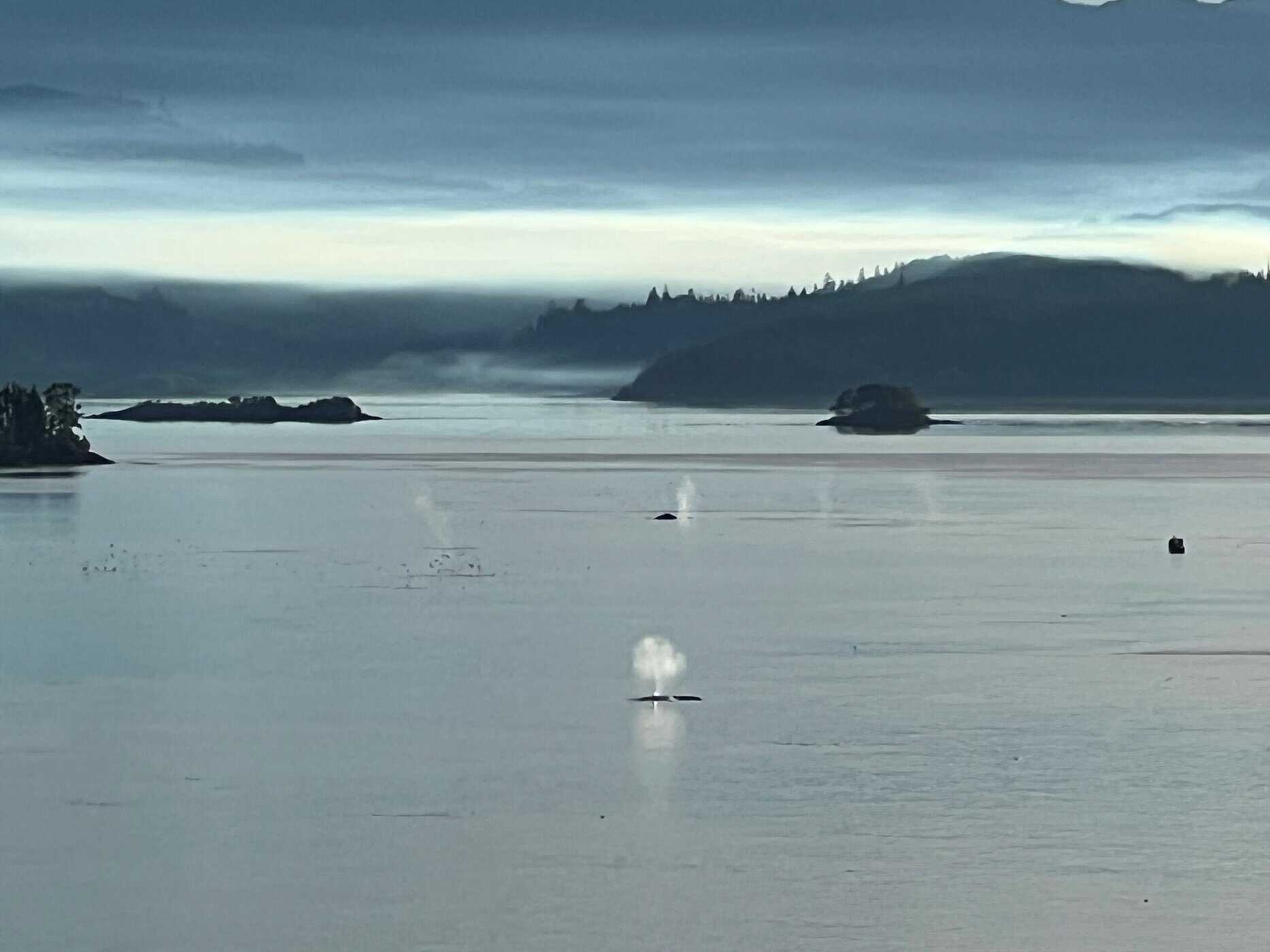 The waters off Vancouver Island in celebration of Earth Day at the Museum